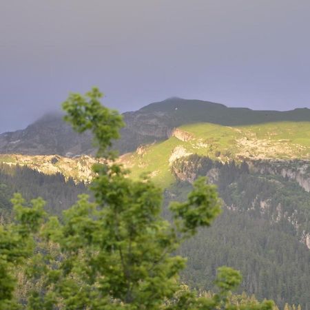 Domaine Du Grand Tetras Samoens Lägenhet Exteriör bild