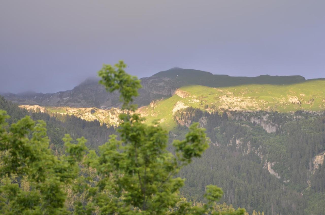 Domaine Du Grand Tetras Samoens Lägenhet Exteriör bild