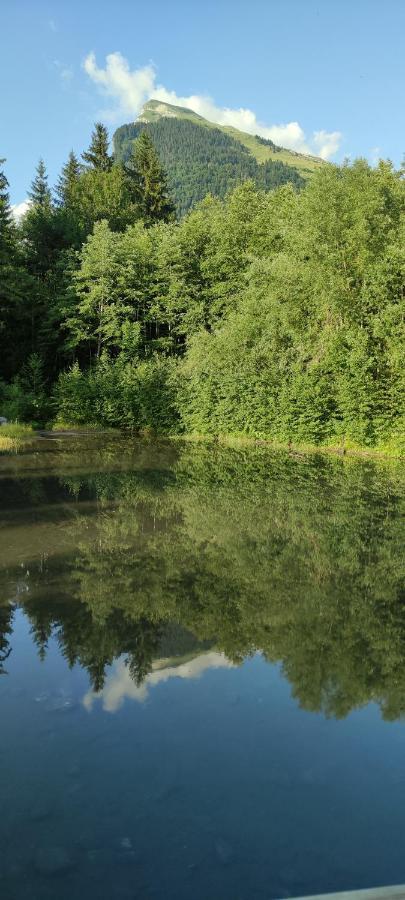 Domaine Du Grand Tetras Samoens Lägenhet Exteriör bild