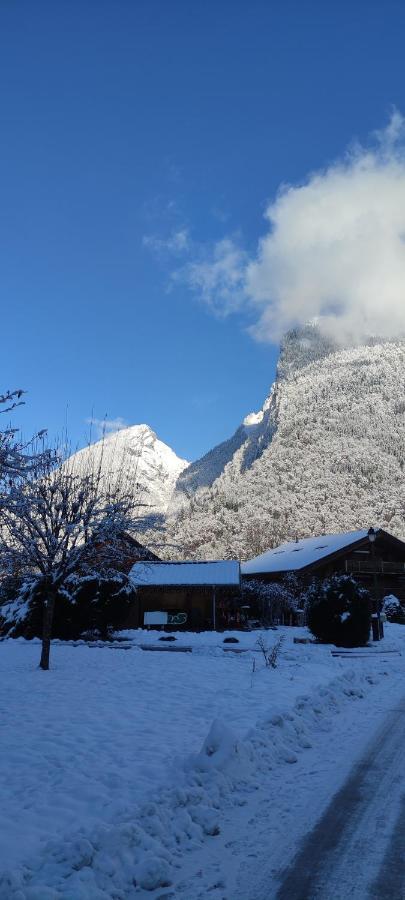 Domaine Du Grand Tetras Samoens Lägenhet Exteriör bild